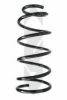 SPIDAN 55265 Coil Spring